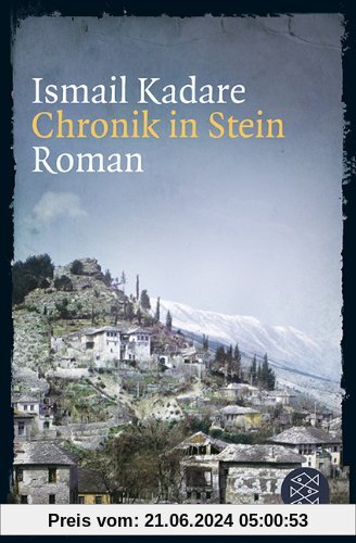 Chronik in Stein: Roman